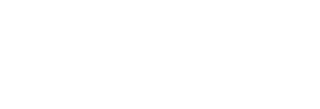 Acronis Platinum Partner